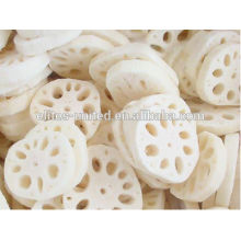Organic Cultivation IQF Frozen Lotus Root Prices